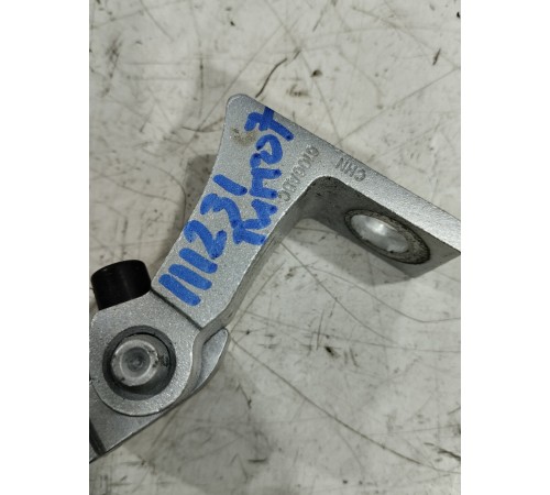 Петля двери(задняя левая нижняя)