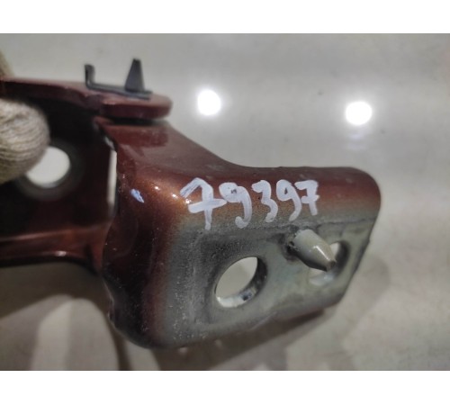 Петля двери (задняя, правая, нижняя)