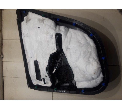 Обшивка двери (задняя левая)