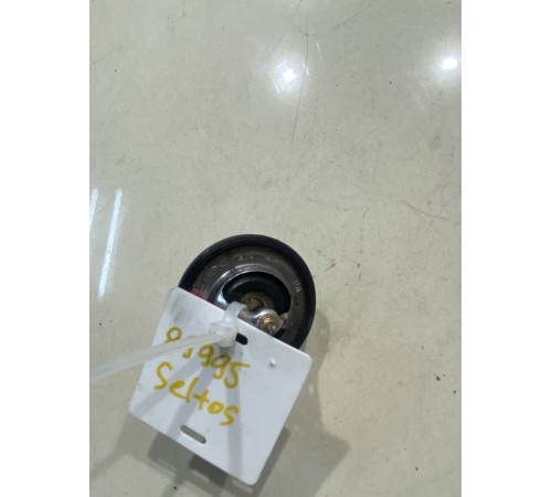 Термоэлемент термостата