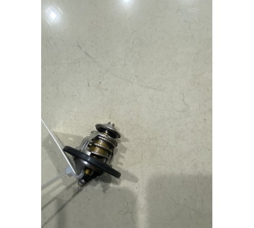 Термоэлемент термостата