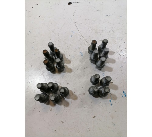 Комплект колёсных болтов 19шт