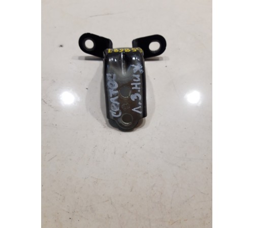 Петля двери(задняя левая нижняя)