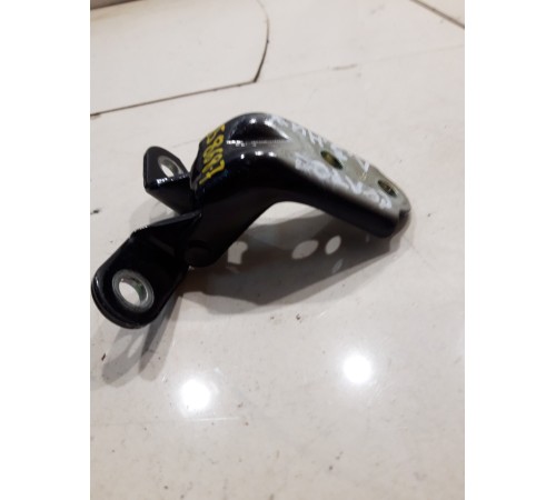 Петля двери(задняя левая нижняя)