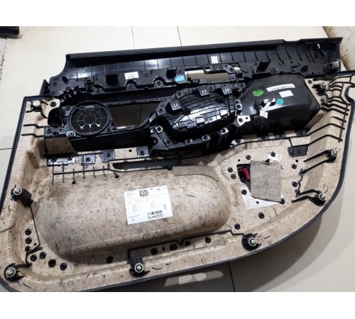 Обшивка двери (задняя левая)