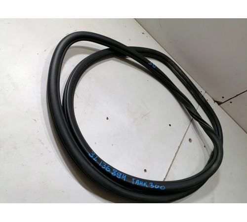 Уплотнитель проема двери задний левый