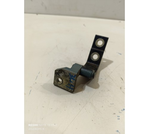 Петля двери задняя левая нижняя 