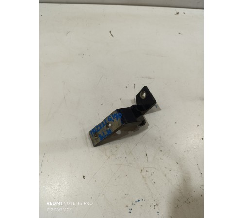 Петля двери задняя левая нижняя 