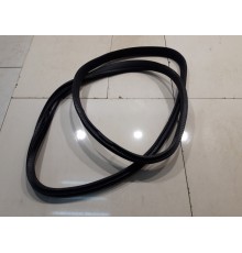 Уплотнитель двери (задний, правый)