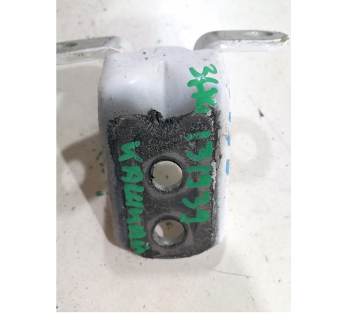 Петля двери задняя левая нижняя