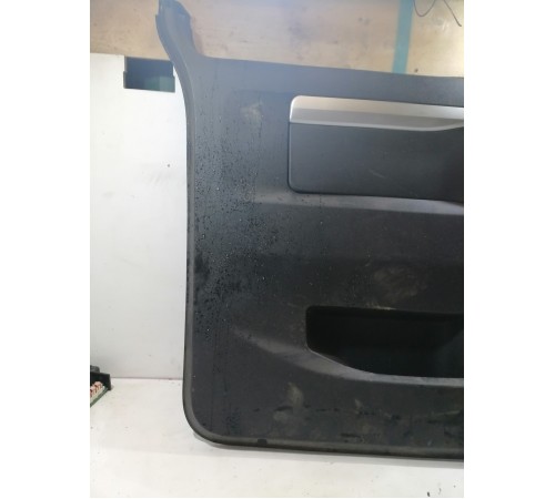 Обшивка двери задняя левая