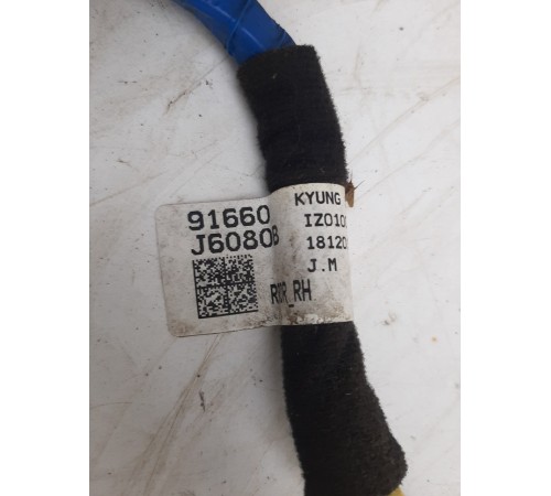 Электропроводка двери (задняя правая)