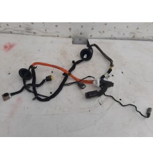 Электропроводка двери (задняя правая)