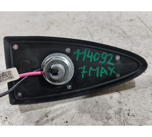 Антенна (плавник)