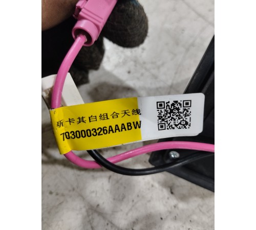 Антенна (плавник)