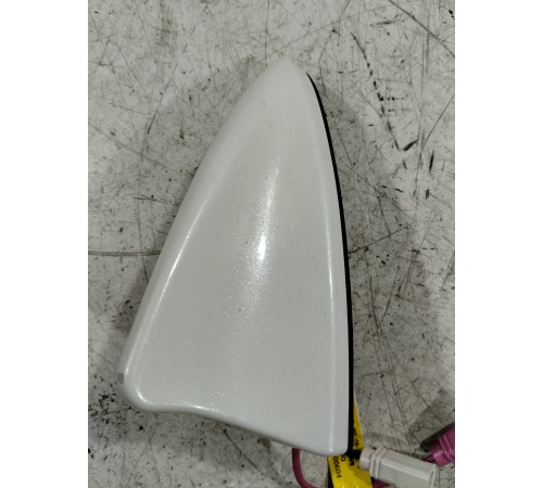 Антенна (плавник)