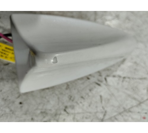 Антенна (плавник)