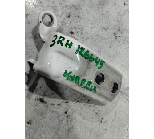 Петля двери задняя правая нижняя