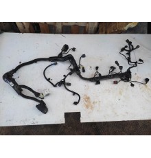 Электропроводка моторная