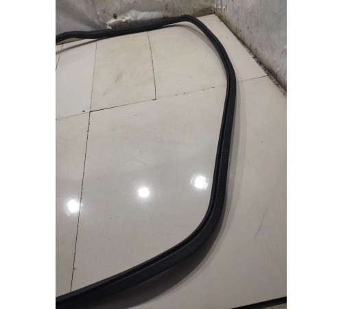 Уплотнитель двери(задний левый)