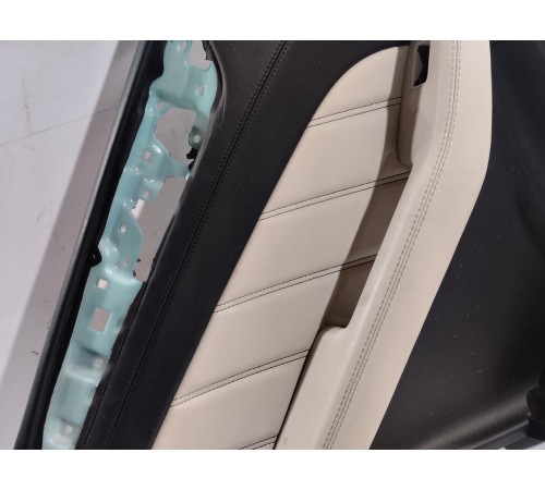 Обшивка двери (задняя левая)