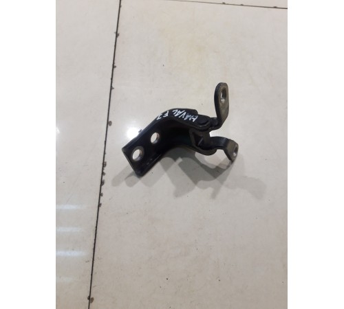 Петля двери (передняя, правая, верхняя)