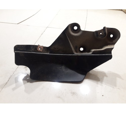 Брызговик (задний правый)