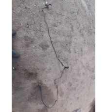 Вакуумная трубка