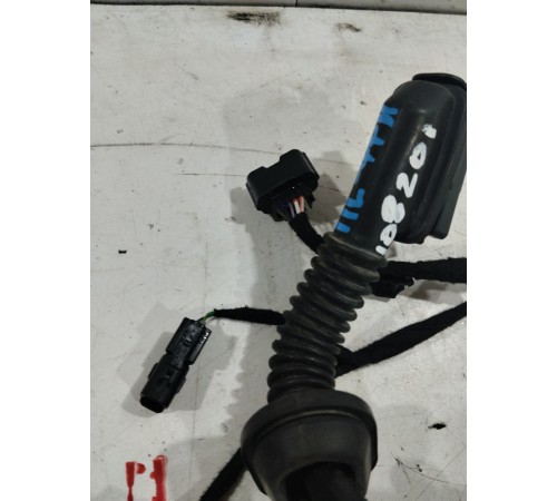 Электропроводка двери (передняя левая)