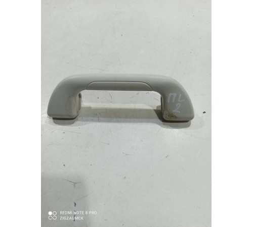 Ручка потолочная(передняя левая)