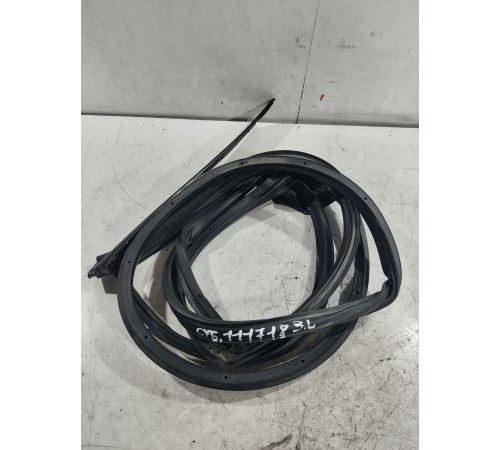 Уплотнитель стекла двери (задний левый)