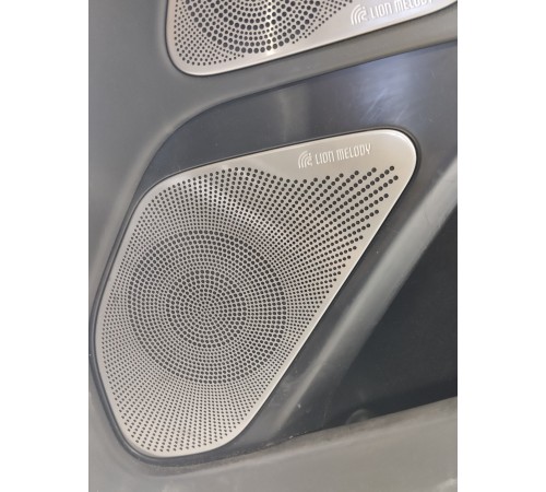 Обшивка двери передняя правая