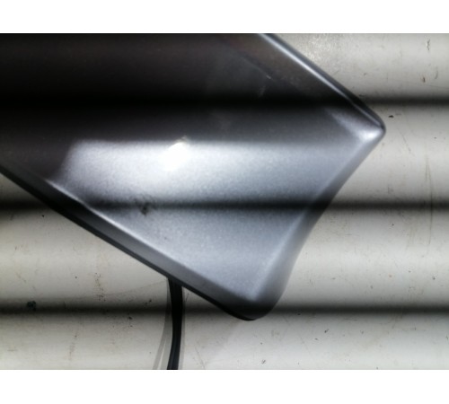 Антенна (плавник)