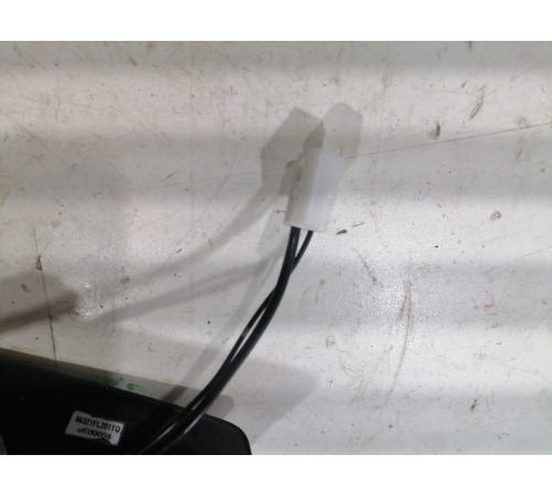 Антенна (плавник)