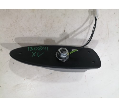 Антенна (плавник)