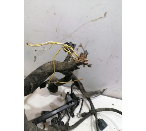 Электропроводка моторная