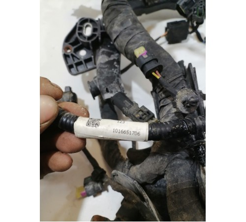 Электропроводка моторная