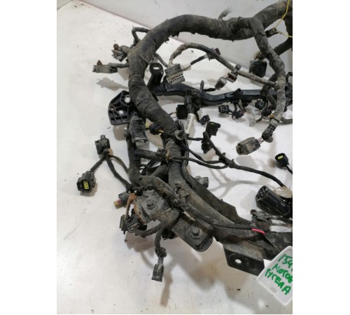 Электропроводка моторная