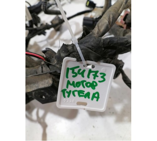 Электропроводка моторная