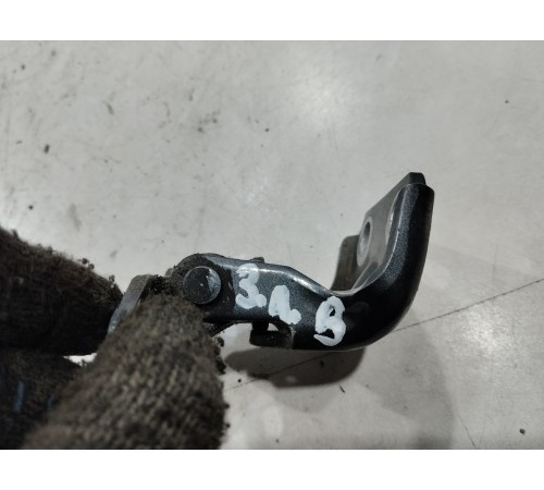 Петля двери(задняя левая верхняя)