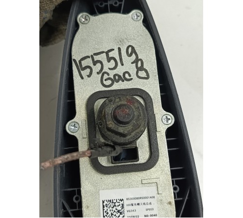 Антенна (плавник)