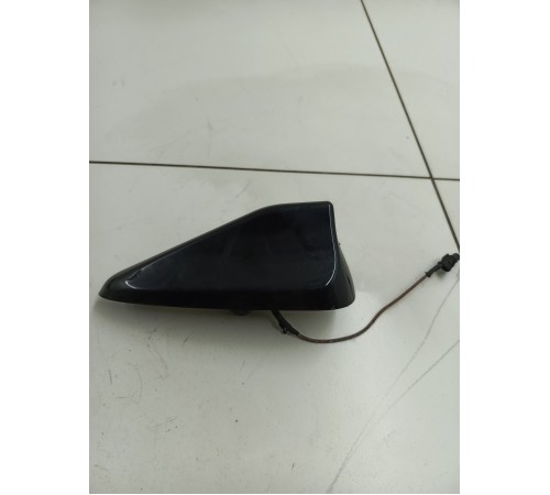 Антенна (плавник)