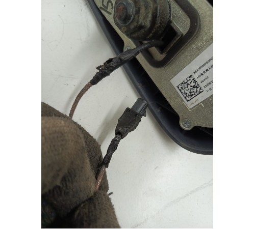 Антенна (плавник)