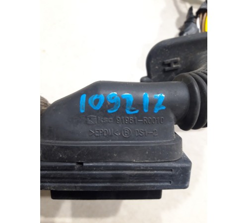 Электропроводка двери (передняя правая)