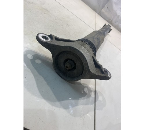 Амортизатор (задний, левый)