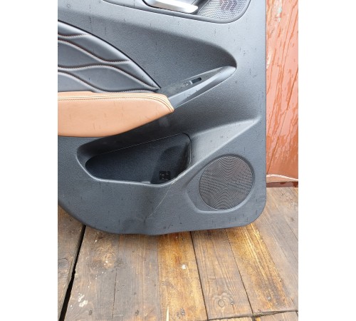 Обшивка двери задняя левая