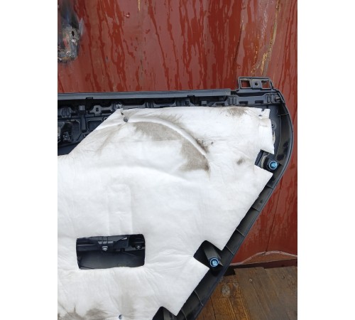 Обшивка двери задняя левая