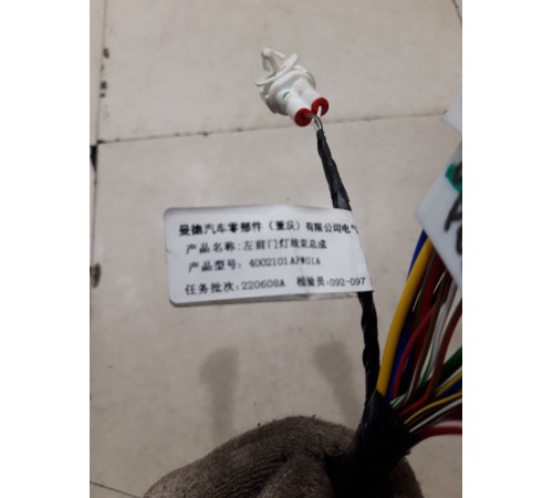 Электропроводка обшивки двери (передняя левая)