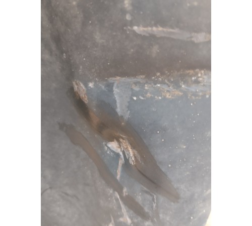 Двигатель в сборе