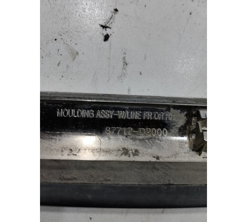 Молдинг двери(передний правый)